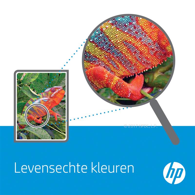 Blog afbeelding
